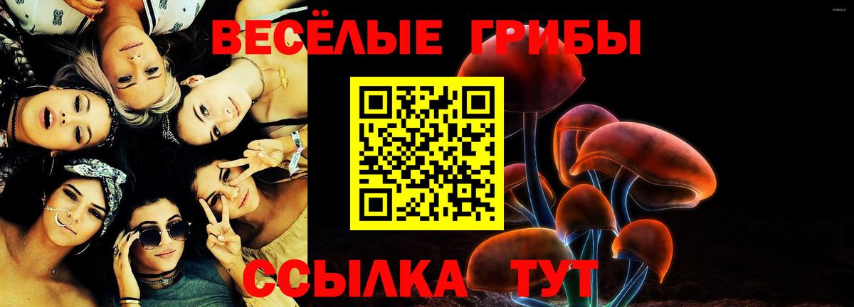 Татарск  Псилоцибиновые грибы Psilocybe  Вход с VPN 